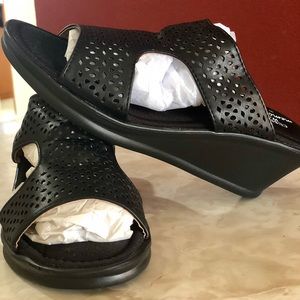 Platforms color black.